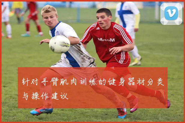 针对手臂肌肉训练的健身器材分类与操作建议