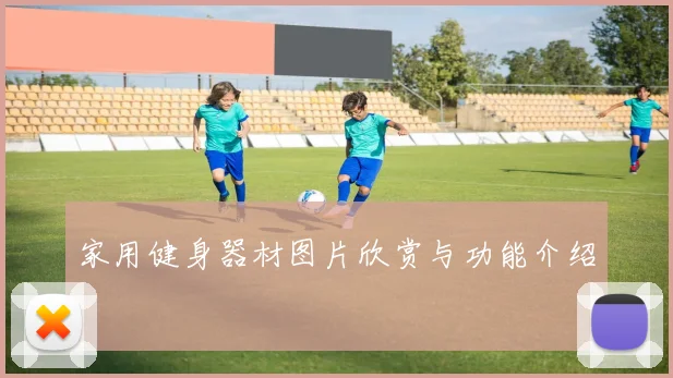 家用健身器材图片欣赏与功能介绍