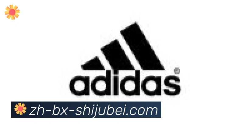 世界杯赛程表合作伙伴